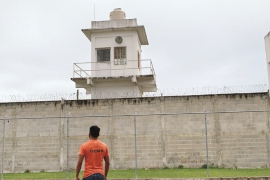 Difícil escape: niños y jóvenes en cárteles