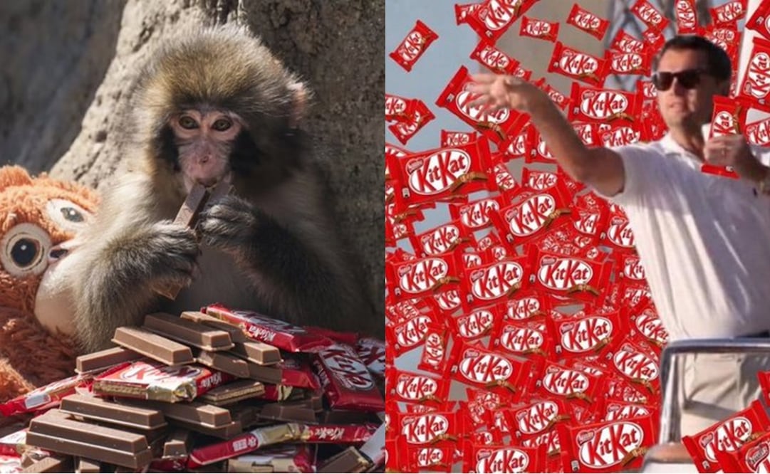 Los mejores memes que dejó el atraco de 12 toneladas de KitKat. Foto: Redes sociales