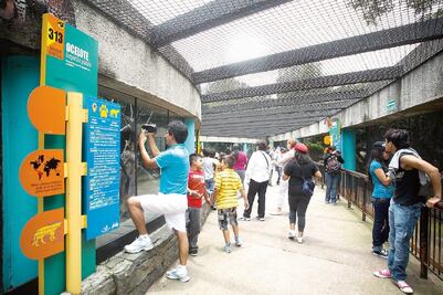 ¡Puedes ir disfrazado! Zoológico de Chapultepec celebrará sus 100 años con desfile cultural