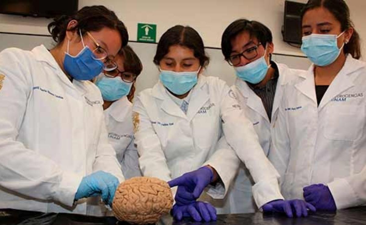 ‍⚕️ Aunque las mujeres son el 70% de la matrícula en escuelas de medicina como la UNAM, su representación en puestos directivos cae al 30%. Así lo advirtió la directora de la Facultad de Medicina, Dra. Ana Carolina Sepúlveda Vildósola.