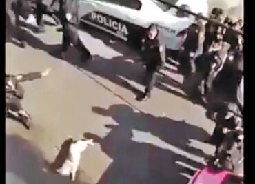 3 policías, en la mira por perro muerto
