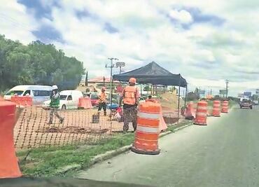 Derriban y reubican 671 árboles por el Trolebús