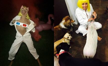 Miley Cyrus, semidesnuda y con máscara de puerco