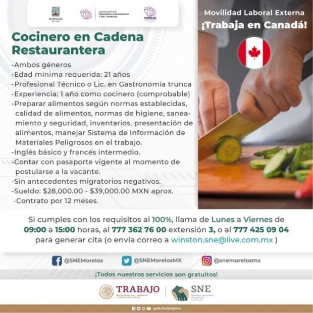 Empleos en el extranjero para trabajadores de la hospitalidad y la gastronomía