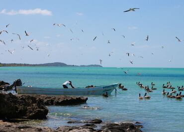 Salieron a buscar a tres pescadores desaparecidos en Oaxaca; ahora son 11