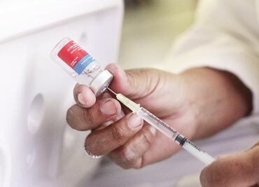 Proponen incluir a la varicela en el cuadro de enfermedades transmisibles