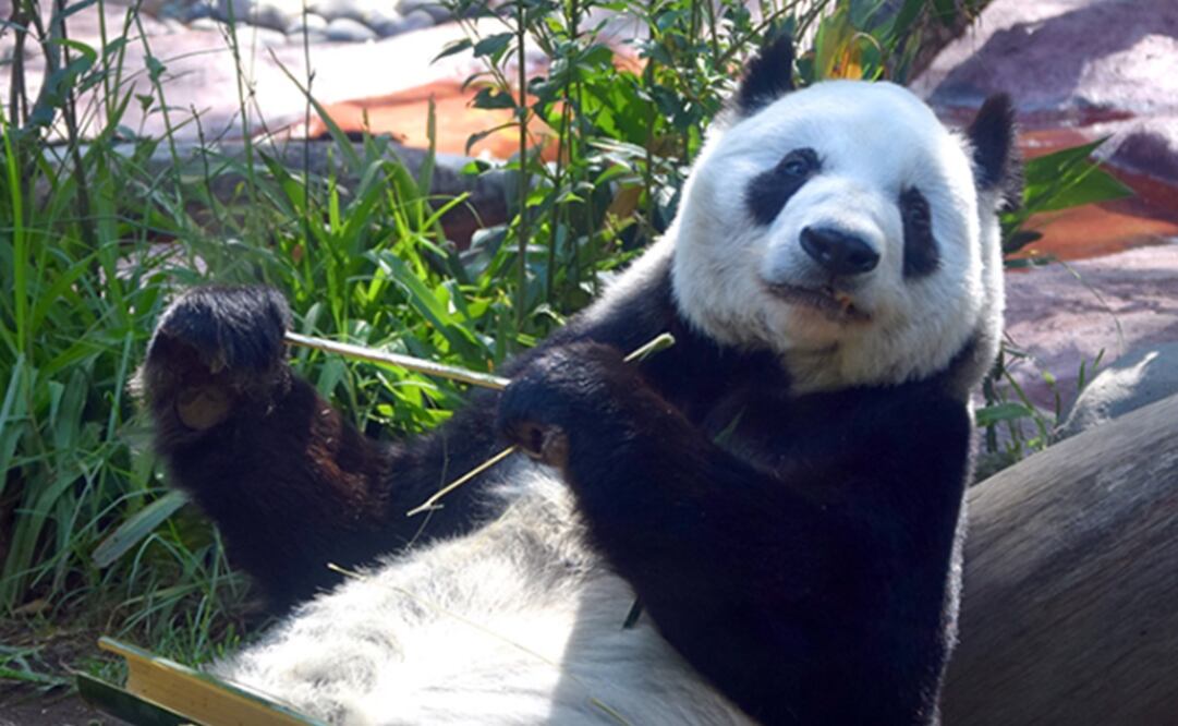 Fotografía: Especial 