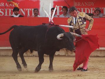Organizaciones de protección animal confían en abolición de corridas de toros; reconocen propuesta de Clara Brugada
