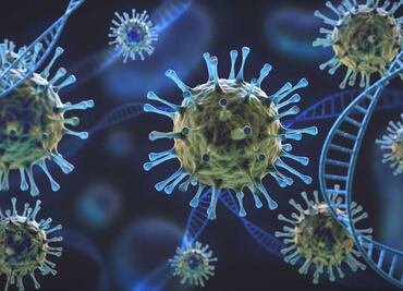 Lo que se sabe de Lambda, variante de Covid-19 que circula en Sudamérica