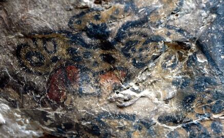 Especialistas restauran pinturas rupestres de Oxtotitlán