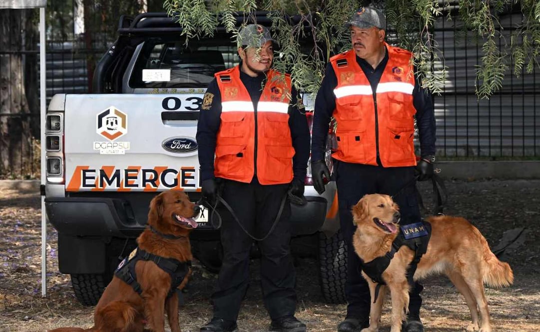 Cuauhtli y Balam, los nuevos perros detectores de explosivos (30/07/2026). Foto: Especial