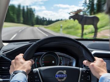 Las herramientas a tener en tu auto para un viaje en carretera