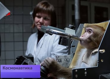 Rusia prepara monos para enviarlos a Marte