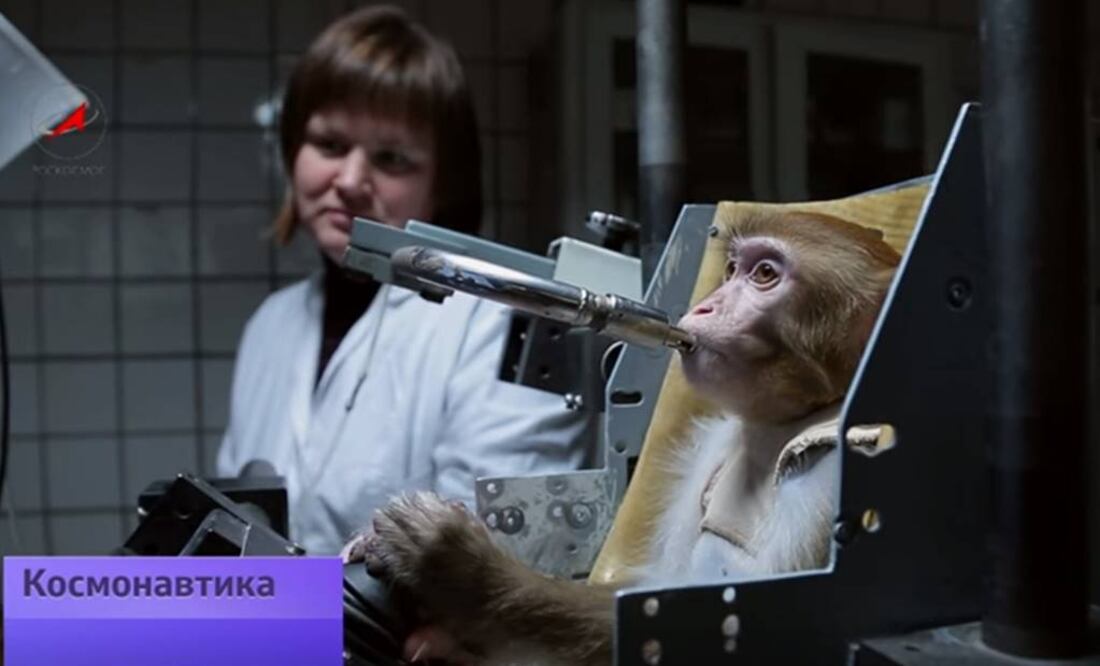 Se les capacita tres horas al día con una palanca de mando y rompecabezas. Foto: Roscosmos TV