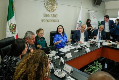 Comisiones del Senado ya debaten el Plan B de la reforma electoral