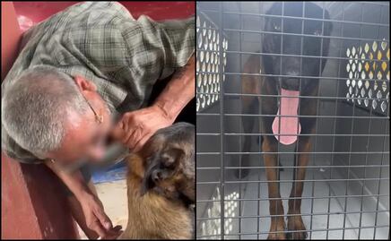 Buscan a dos sujetos por mutilar oreja de un perro en Villaldama, Nuevo León