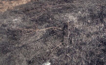 Hallan cuerpo baleado y calcinado en cerro de Chalco