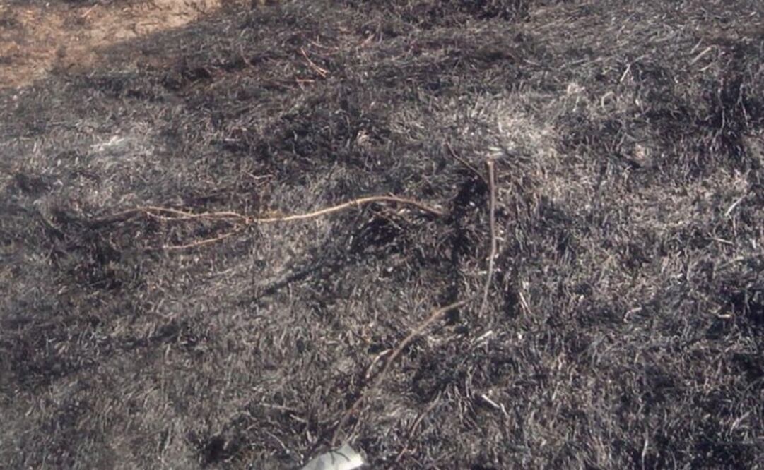  A la víctima se le apreciaban algunos tatuajes. Foto: Archivo