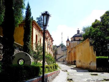 Qué hacer en el Parque Nacional Molino de Flores, en el Estado de México
