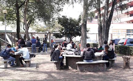 Facultad de Química sin ambiente hostil contra comunidad LGBT como afirma Álvarez-Buylla