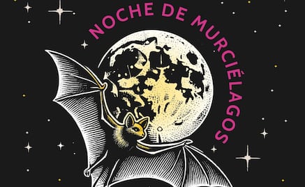 Noche de Murciélagos en Xochimilco; Sedema anuncia recorridos nocturnos y monitoreo con radar