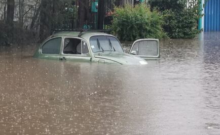 Lluvia con granizo deja inundaciones y caída de árboles en Oaxaca
