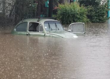 Lluvia con granizo deja inundaciones y caída de árboles en Oaxaca
