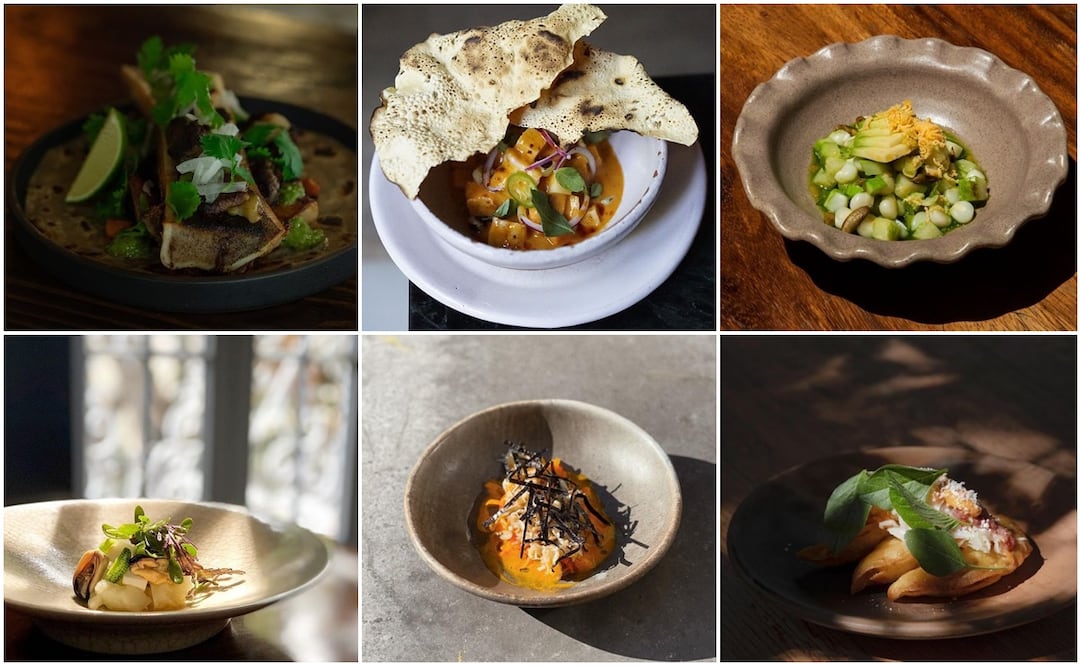 Platillos de los restaurantes de los seis chefs mexicanos emergentes que están revolucionando la escena gastronómica - Foto: Especial