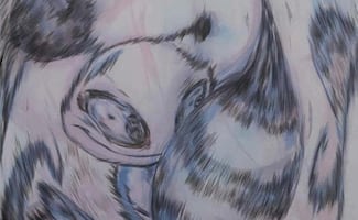 Enalteciendo la comunidad que ha creado, Terremoto realiza subasta para recaudar fondos