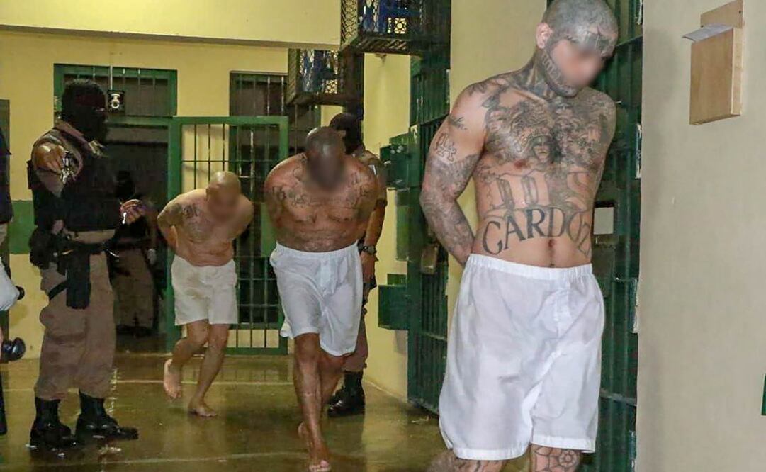 Las autoridades no han detallado si los homicidios del viernes están relacionados con purgas dentro de las estructuras criminales (Fotos: EFE)