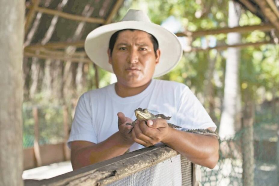 Comunidades impulsan un corredor verde en Oaxaca