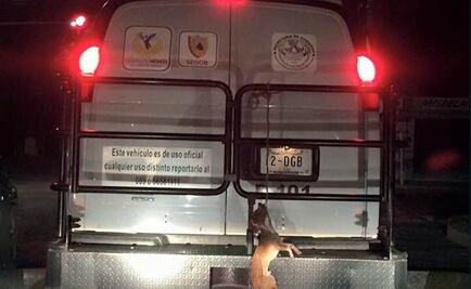 Buscan a empleados del GDF que maltrataron a perro