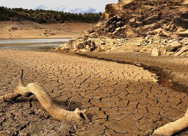 La humanidad ya se terminó los recursos naturales de este año; viviremos a "crédito"