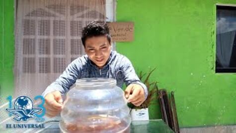 Las cumbias y corridos del huachicol “que se la rifan bonito chin... a Pemex”