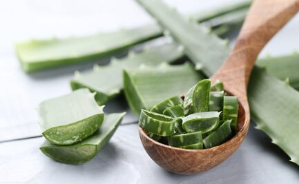 Quiénes no deben usar aloe vera en la piel