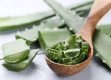 Quiénes no deben usar aloe vera en la piel