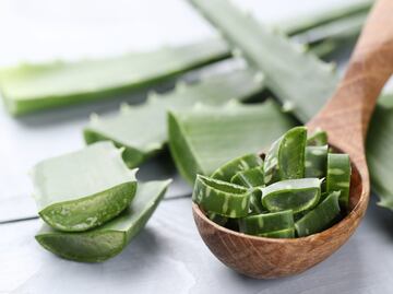5 beneficios del aloe vera para combatir la caída del cabello