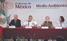 Reportan playas limpias en el litoral tras derrame en Golfo de México; recolectan más de 700 toneladas de contaminante