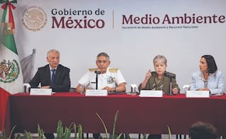 Reportan playas limpias en el litoral tras derrame en Golfo de México; recolectan más de 700 toneladas de contaminante