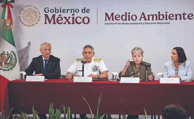 Reportan playas limpias en el litoral tras derrame en golfo de México; recolectan más de 700 toneladas de contaminante