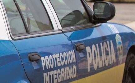 Puerto Rico: Investigan caso de perro encerrado en auto