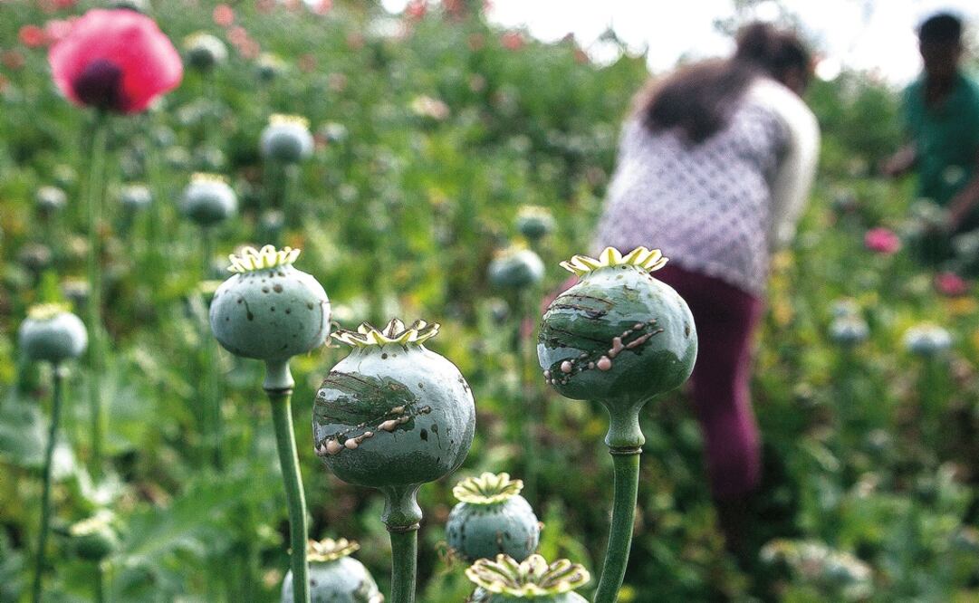 Foto: Archivo/ EL UNIVERSAL