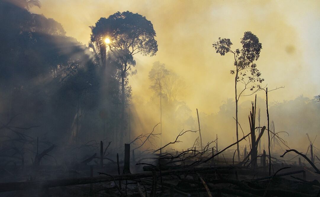 Áreas del Amazonas se han consumido por incendios forestales durante agosto. Foto: AP Photo/Edmar Barros, archivo