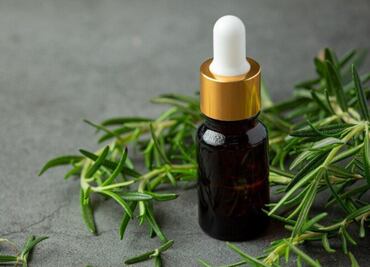 La hierba aromática que se ha convertido en un potente impulsor de la memoria