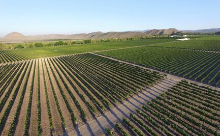 Qué hacer en el Pueblo Mágico de Parras