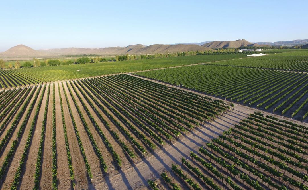 Parras tiene más de 400 años de historia. Foto: Oficina de Convenciones y Visitantes de Parras Coahuila