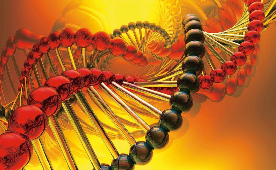 El equipo internacional de científicos examinó los 3 mil millones de letras que componen el código genético en 560 casos de cáncer de mama. (FOTO: Archivo EL UNIVERSAL)