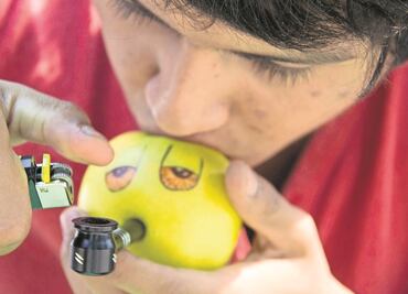 En México, más de 109 mil personas se inyectan drogas, revela encuesta