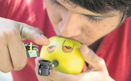 Ante aumento del consumo de drogas, Congreso se queda sin reformas para atender el problema, señala senadora