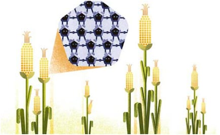 Innovación que no se ve